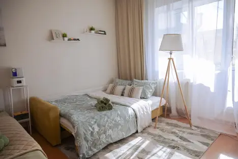 1-комнатная квартира в Казани, Казань, ул. Сафьян, 6