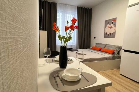 1-комнатная квартира в Санкт-Петербурге, Санкт-Петербург, наб. Миклухо-Маклая, 3к1