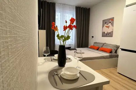 1-комнатная квартира в Санкт-Петербурге, наб. Миклухо-Маклая, 3к1