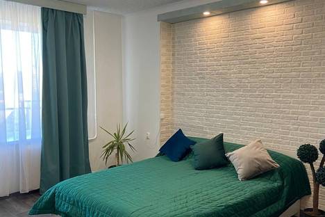 Однокомнатная квартира в аренду посуточно в Санкт-Петербурге по адресу Дунайский пр-кт, 31к1