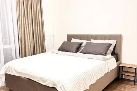 1-комнатная квартира в Ленинградской области, Ломоносовский р-н , Аннинское г.п., гп. Новоселье, Большая Балтийская ул., 10к1