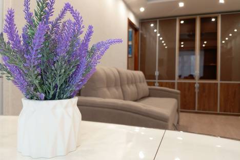 2-комнатная квартира в Нижнем Новгороде, Должанская ул., 1