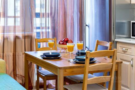 Однокомнатная квартира в аренду посуточно в Санкт-Петербурге по адресу Фермское ш., 16