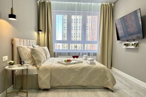 1-комнатная квартира в Уфе, ул. Рудольфа Нуреева, 7