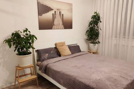 2-комнатная квартира в Кудрове, Европейский пр-кт, 14к6