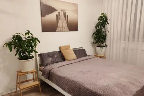 2-комнатная квартира в Кудрове, Европейский пр-кт, 14к6