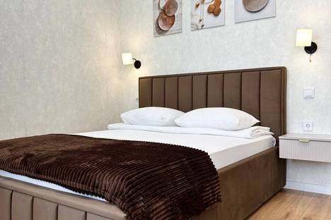 Однокомнатная квартира в аренду посуточно в Тюмени по адресу ул. Эльвиры Федоровой, 1к1