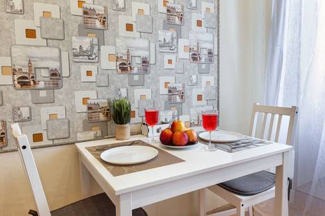 Однокомнатная квартира в аренду посуточно в Санкт-Петербурге по адресу Фермское ш., 32