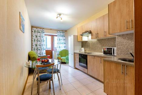 Однокомнатная квартира в аренду посуточно в Санкт-Петербурге по адресу Фермское ш., 32