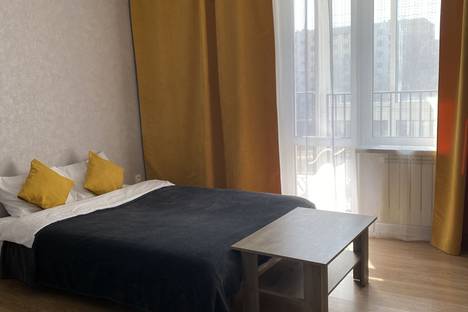 Однокомнатная квартира в аренду посуточно в Ростове-на-Дону по адресу Орбитальная ул., 17