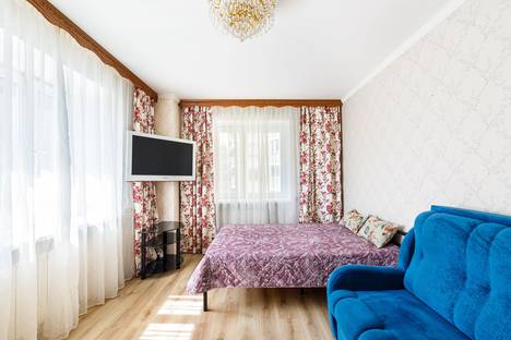 Однокомнатная квартира в аренду посуточно в Санкт-Петербурге по адресу Фермское ш., 32