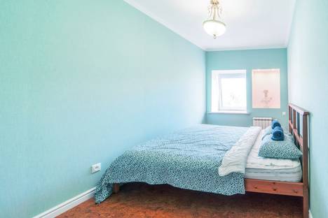 Однокомнатная квартира в аренду посуточно в Санкт-Петербурге по адресу Фермское ш., 32