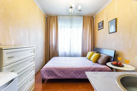 1-комнатная квартира в Санкт-Петербурге, Фермское ш., 32