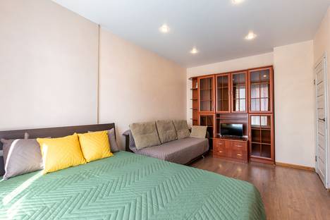 1-комнатная квартира в Санкт-Петербурге, Комендантский пр-кт, 55к1