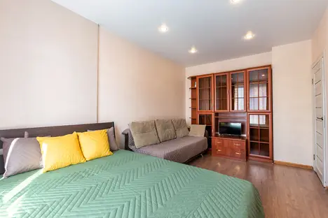 1-комнатная квартира в Санкт-Петербурге, Комендантский пр-кт, 55к1