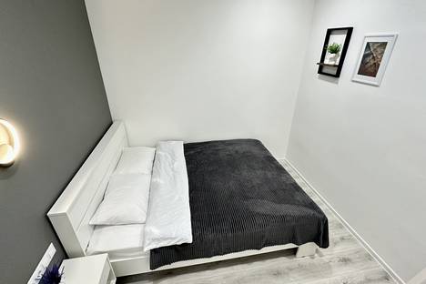 Двухкомнатная квартира в аренду посуточно в Луганске по адресу ул. Челюскинцев, 4А