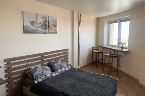 Однокомнатная квартира в аренду посуточно в Челябинске по адресу ул. Блюхера, 53