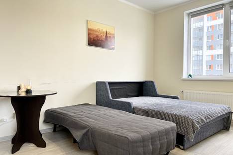 1-комнатная квартира в Санкт-Петербурге, Плесецкая ул., 10