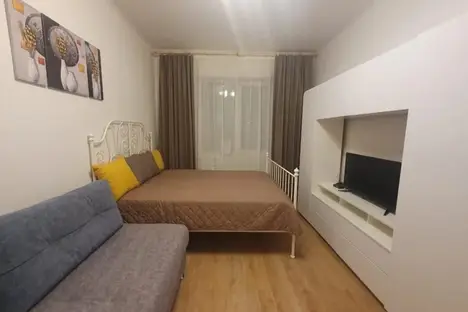 1-комнатная квартира в Санкт-Петербурге, Плесецкая ул., 20к2