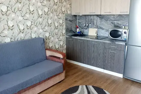 1-комнатная квартира в Новосибирске, Новосибирск, Заречная ул., 35