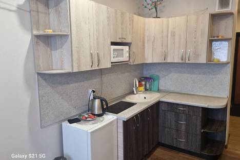 1-комнатная квартира в Новосибирске, Заречная ул., 33