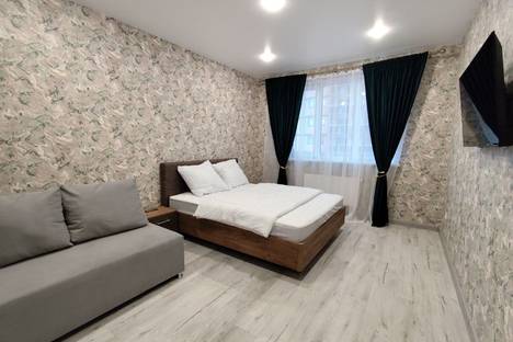 1-комнатная квартира в Краснодаре, ул. Героя Владислава Посадского, 17к1