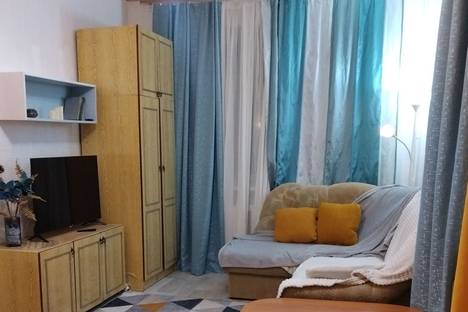 Однокомнатная квартира в аренду посуточно в Екатеринбурге по адресу пр-кт Космонавтов, 58