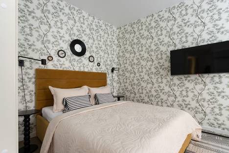 Однокомнатная квартира в аренду посуточно в Санкт-Петербурге по адресу 3-я Советская ул., 20/5