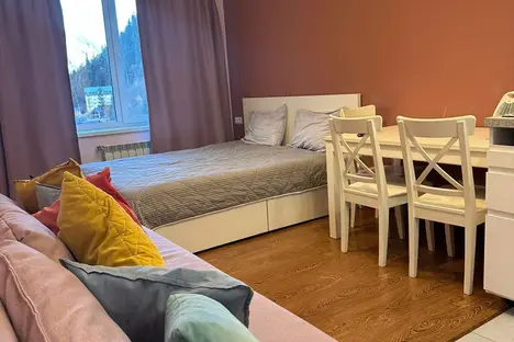 1-комнатная квартира в Домбае, Карачаевская ул., 60