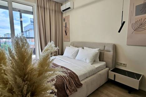 1-комнатная квартира в Воронеже, ул. Сакко и Ванцетти, 82