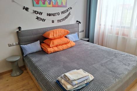 1-комнатная квартира в Санкт-Петербурге, Санкт-Петербург, дор. на Турухтанные Острова, 5к1