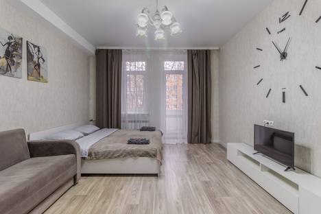 Однокомнатная квартира в аренду посуточно в Нижнем Новгороде по адресу пр-кт Гагарина, 80