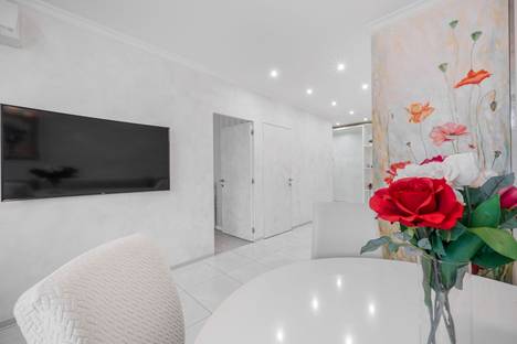 Двухкомнатная квартира в аренду посуточно в Санкт-Петербурге по адресу ул. Нахимова, 20