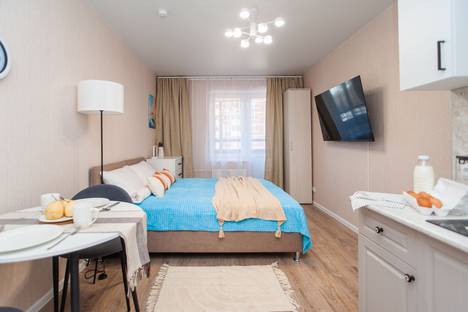 1-комнатная квартира в Колпине, Колпино, Балканская дор., 10к2