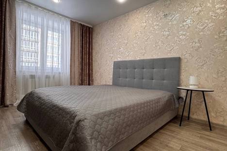 Однокомнатная квартира в аренду посуточно в Благовещенске по адресу Технический пер., 84