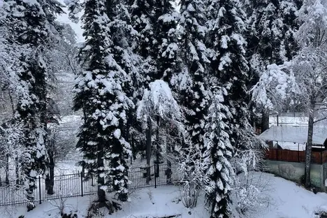 2-комнатная квартира в Домбае, Тебердинская ул., 7