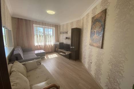 1-комнатная квартира в Пионерском, Пионерский, ул. Шаманова, 8А