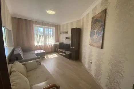 1-комнатная квартира в Пионерском, ул. Шаманова, 8А