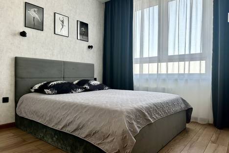 Однокомнатная квартира в аренду посуточно в деревня Дударева по адресу ул. Сергея Джанбровского, 3