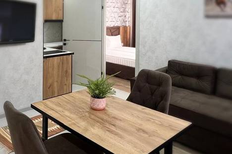 2-комнатная квартира в Домбае, Горная ул., 4