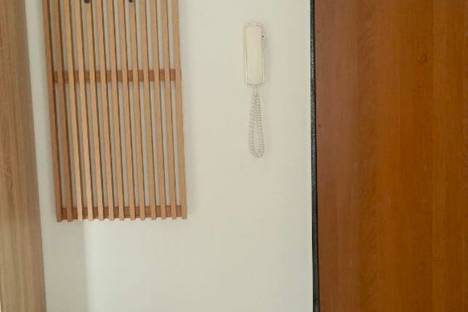 Однокомнатная квартира в аренду посуточно в Томске по адресу Советская ул., 98