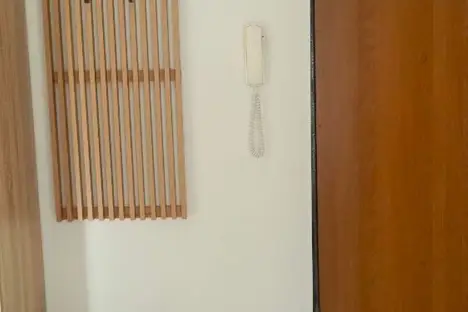 1-комнатная квартира в Томске, Советская ул., 98