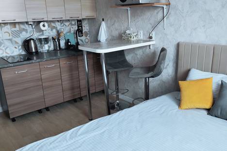 1-комнатная квартира в Екатеринбурге, Утренний пер., 7