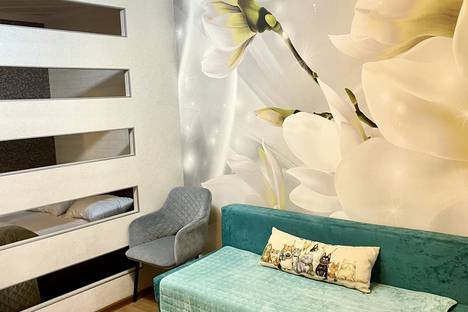 1-комнатная квартира в Нижнем Новгороде, Нижний Новгород, Витебская ул., 2