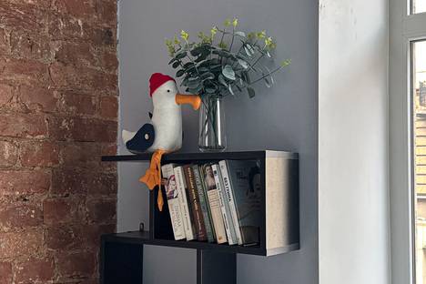 Однокомнатная квартира в аренду посуточно в Санкт-Петербурге по адресу Центральный р-н , ул. Некрасова, 37/20