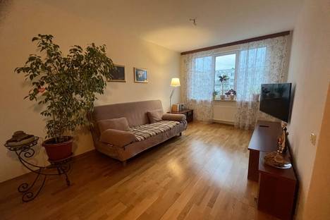 Четырёхкомнатная квартира в аренду посуточно в Санкт-Петербурге по адресу Будапештская ул., 66к1