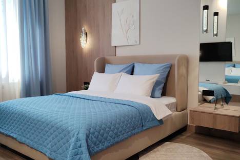 Однокомнатная квартира в аренду посуточно в Ессентуках по адресу ул. Орджоникидзе, 97к2