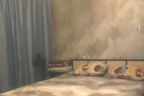 1-комнатная квартира во Владикавказе, Владикавказ, ул. Генерала Дзусова, 3к6