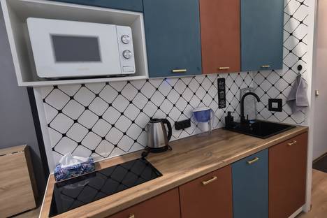 1-комнатная квартира в Екатеринбурге, Утренний пер., 7