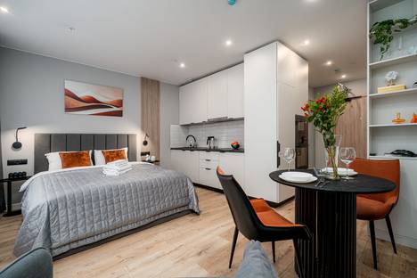 1-комнатная квартира в Санкт-Петербурге, пр-кт Энергетиков, 2к2